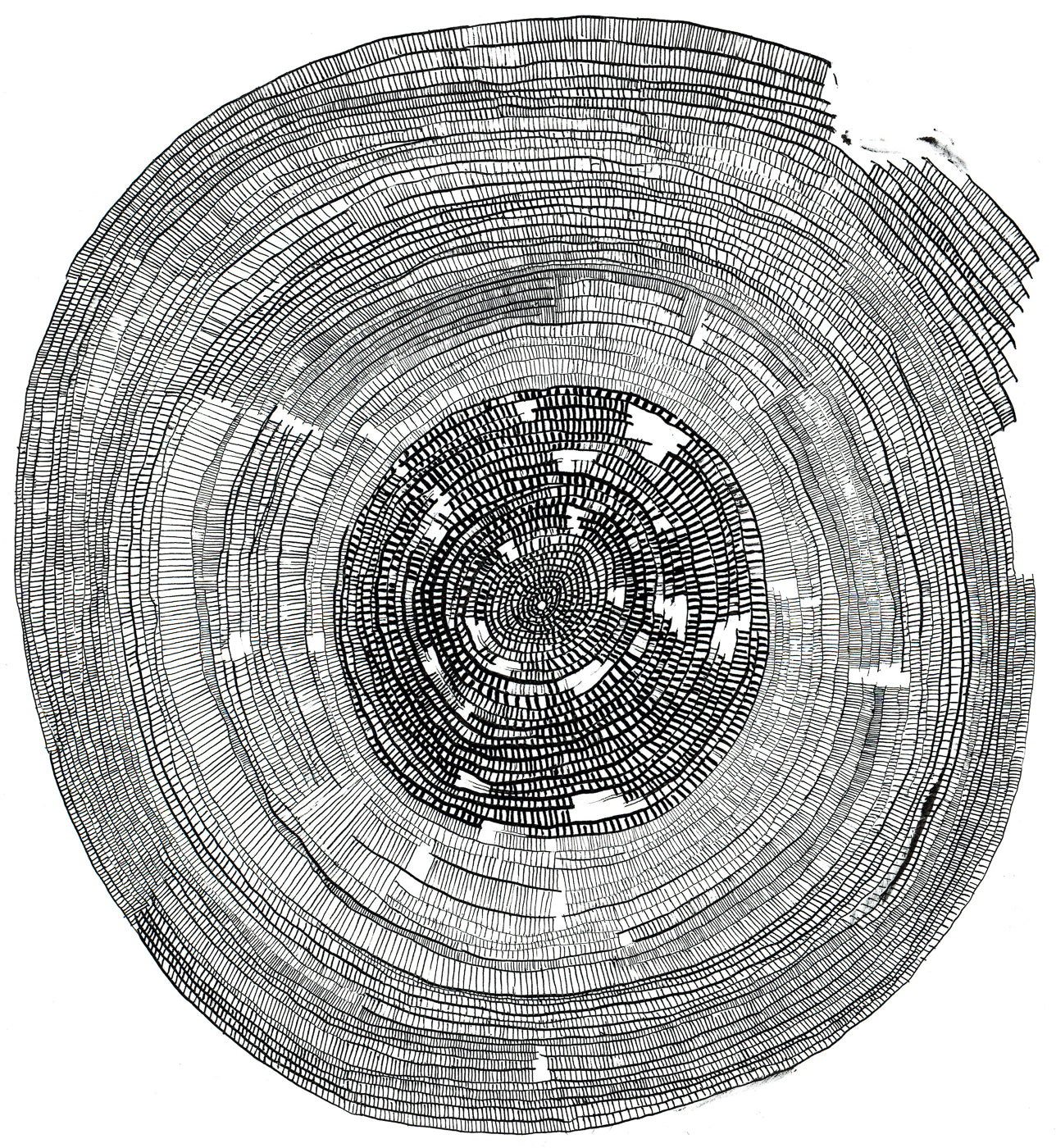 Concentric Grid #3, Giclée Print, Signed