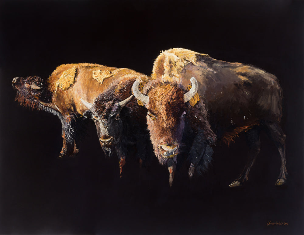 Three Fort Collins Bison #2, Giclée Print, Signed