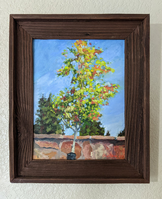 Woodland Park Tree, Original oil painting, Framed