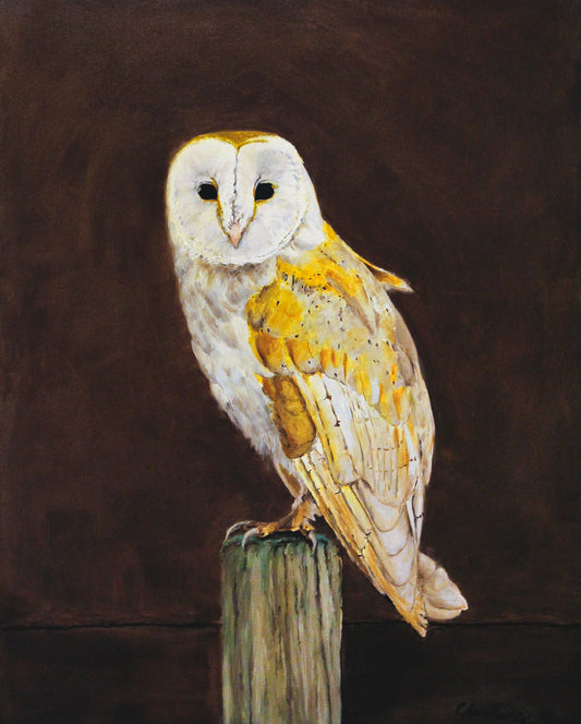 Barn Owl, Giclée Print, Signed