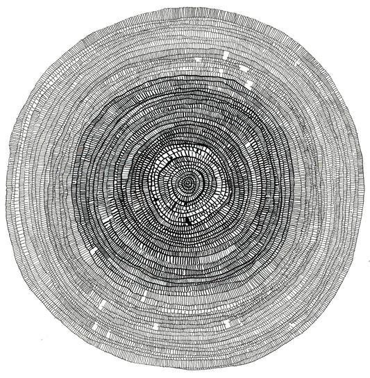 Concentric Grid #6, Giclée Print, Signed