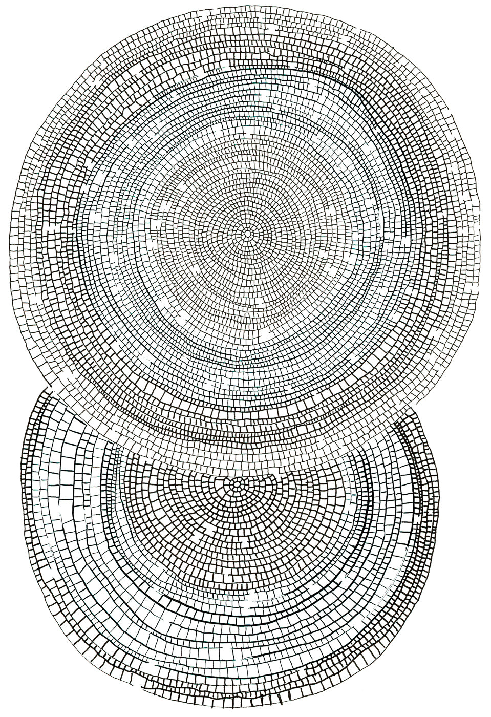 Concentric Grid #7, Giclée Print, Signed