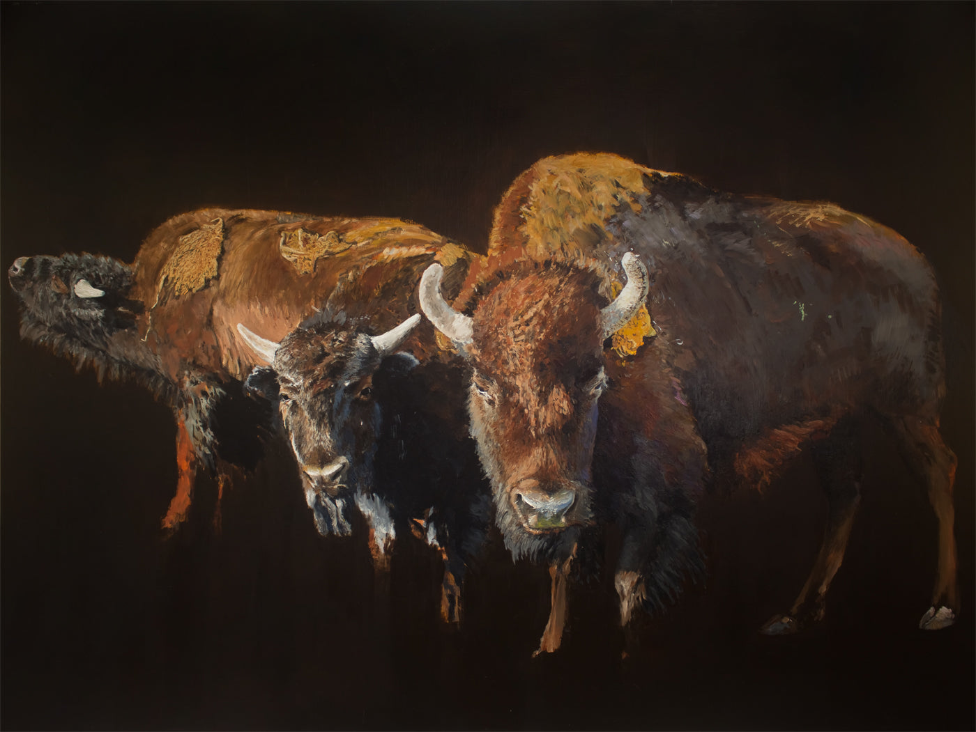 Three Fort Collins Bison #1, Giclée Print, Signed